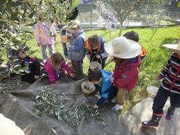 Eκδρομές - Επισκέψεις Μουσείων